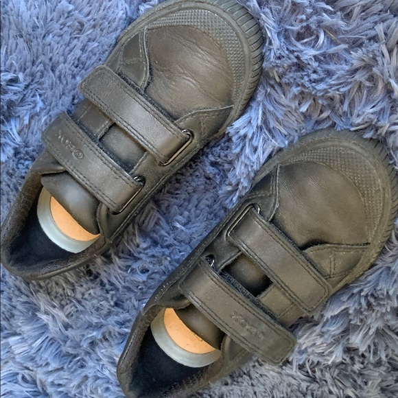 GEOX Boys Uniform Sneakers - Picture 1 of 5